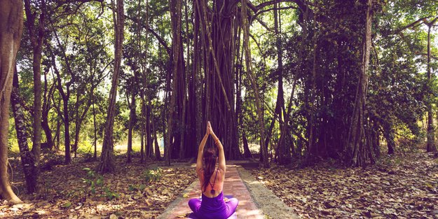 Forrest Yoga: So geht die beliebte Yoga-Praxis