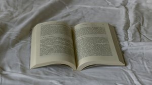 7 Bücher, die perfekt für verregnete Wochenenden sind