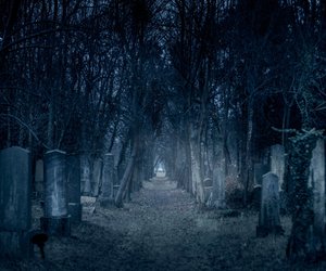 Adrenalin pur: In diesem Buch von Harlan Coben überschlagen sich die Ereignisse