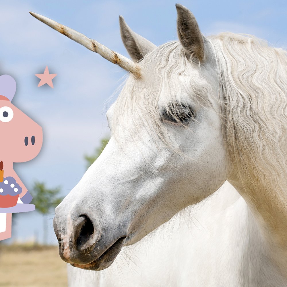 8861a740417a7859602263572c_AnJlIDEwMDAgMTAwMAMyZjgxNDE3OTIzMg==_unicorn