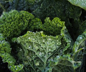 Grünkohl aufwärmen: So funktioniert es ganz einfach