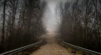 Harlan Coben enthüllt in diesem Thriller ein Familiendrama, das unter die Haut geht