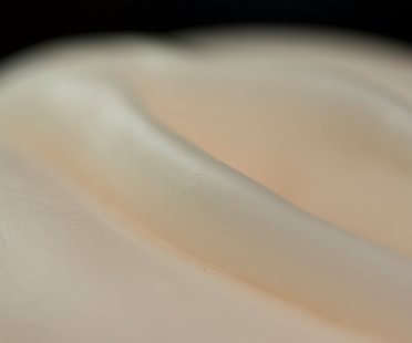 Sind Vaginas etwa eklig?