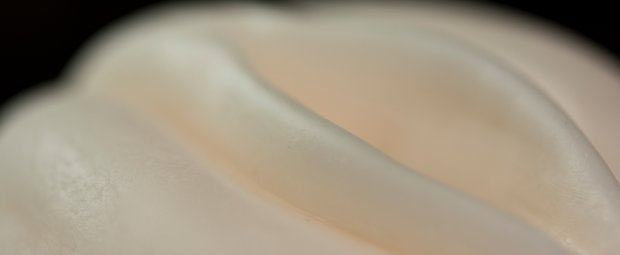 Sind Vaginas etwa eklig?