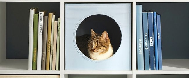 Für das Haustier nur das Beste: So cool und praktisch sind die neuen Ikea-Pieces für Hund und Katze