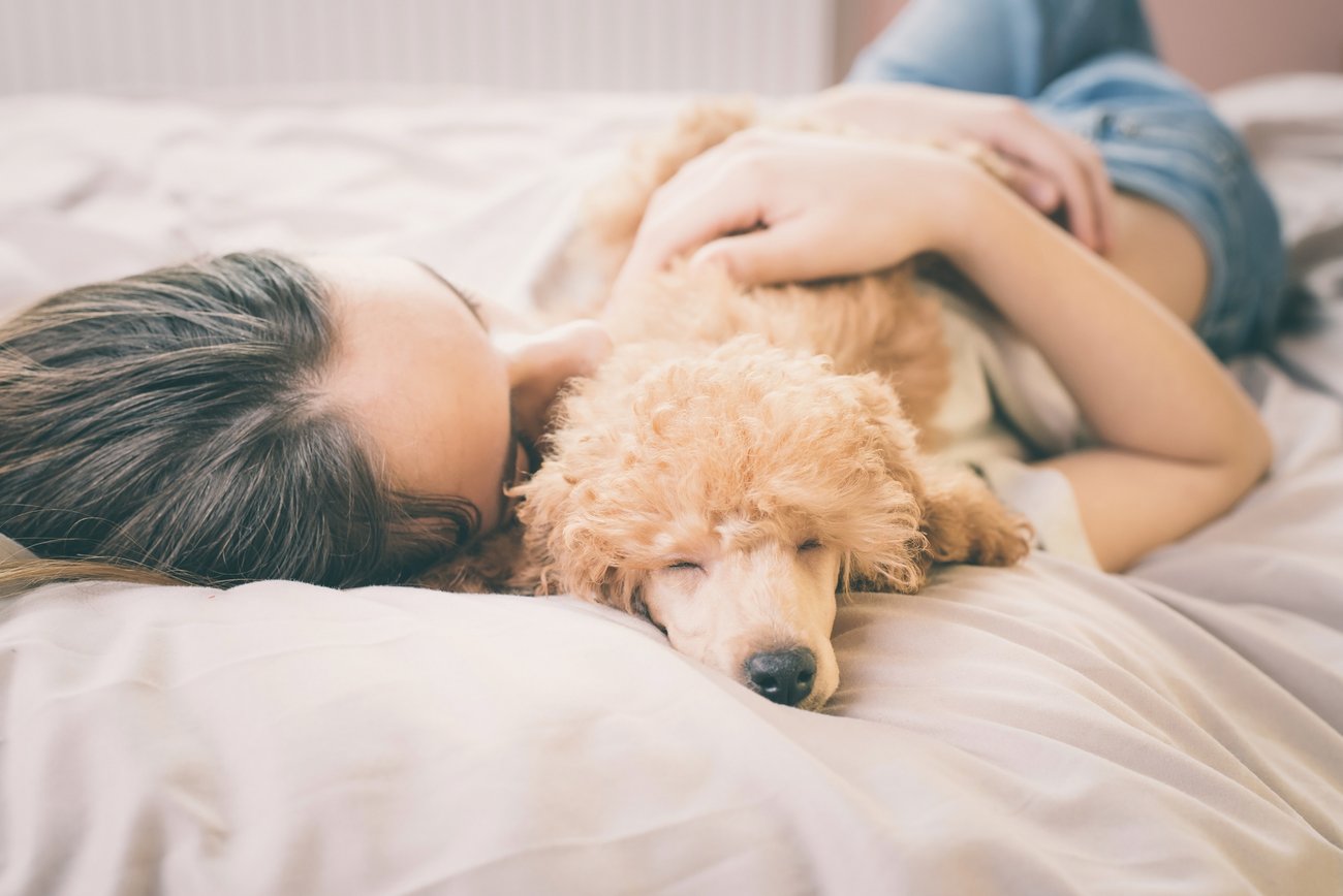 Mädchen kuschelt mit Hund Mädchen kuschelt mit Hund