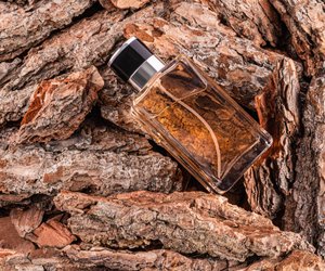 Ein Hauch von Frühling: Der beschwingte Duft mit Zitrus- und Holz-Note macht glücklich