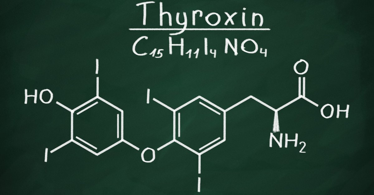 L-Thyroxin Abnehmen
