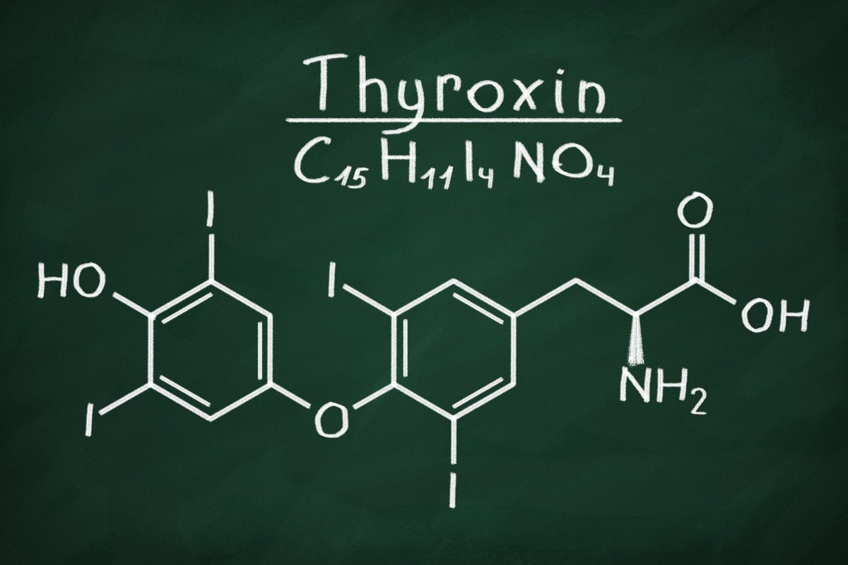 L Thyroxin Abnehmen Mit Diesem Hormon Moglich Desired De