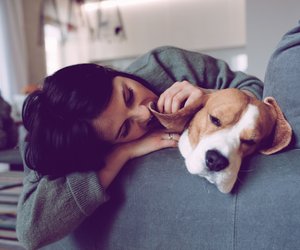 Couch-Potatoes: Diese Tierkreiszeichen wollen immer zu Hause bleiben