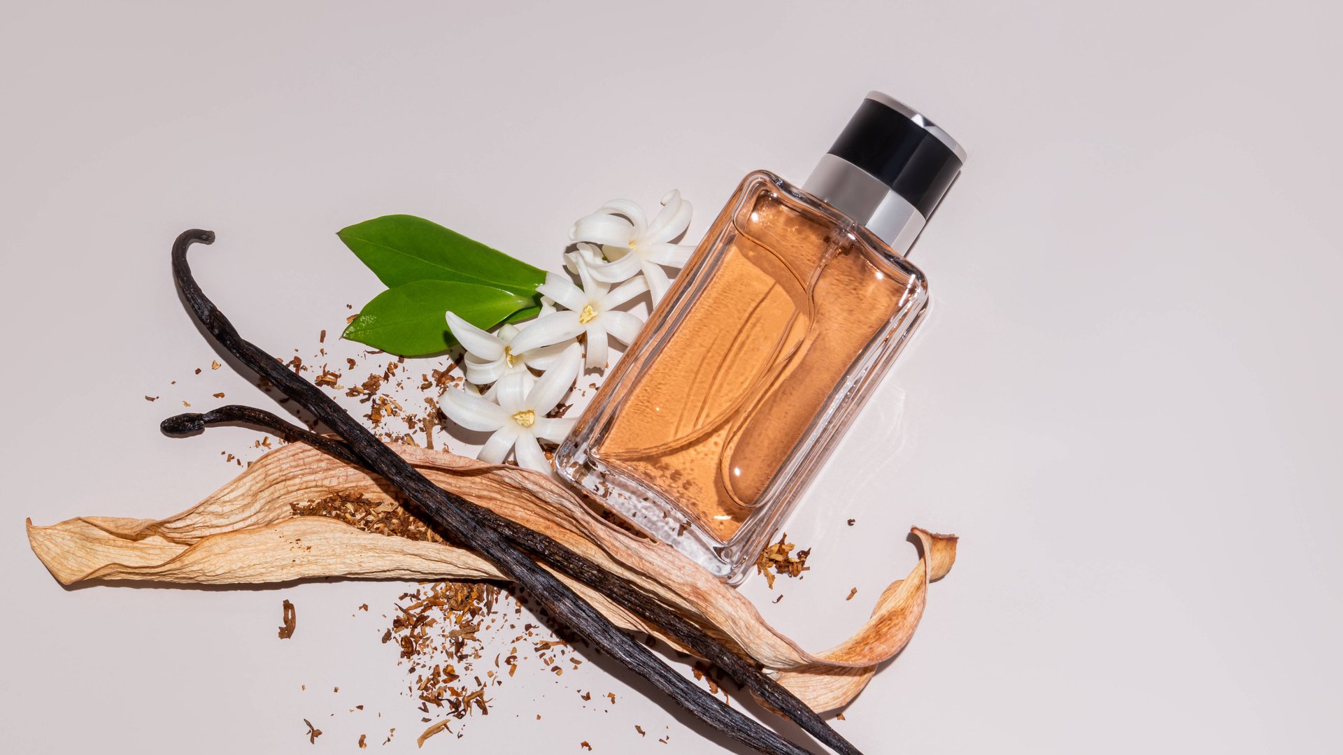 Mit-einer-s-cremigen-Note-Das-Sommer-Parfum-erinnert-an-sonnige-Tage-am-Meer