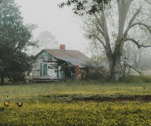 Gänsehaut garantiert: Der neue Thriller von Simon Beckett lässt dich nicht schlafen