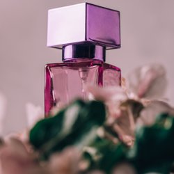 Mit Tonka und Moschus: Dieses Apfel-Parfum von dm versüßt dir den Herbst