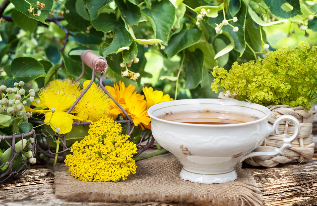 Tasse Frauenmanteltee und Heilpflanzen Tasse Frauenmanteltee und Heilpflanzen