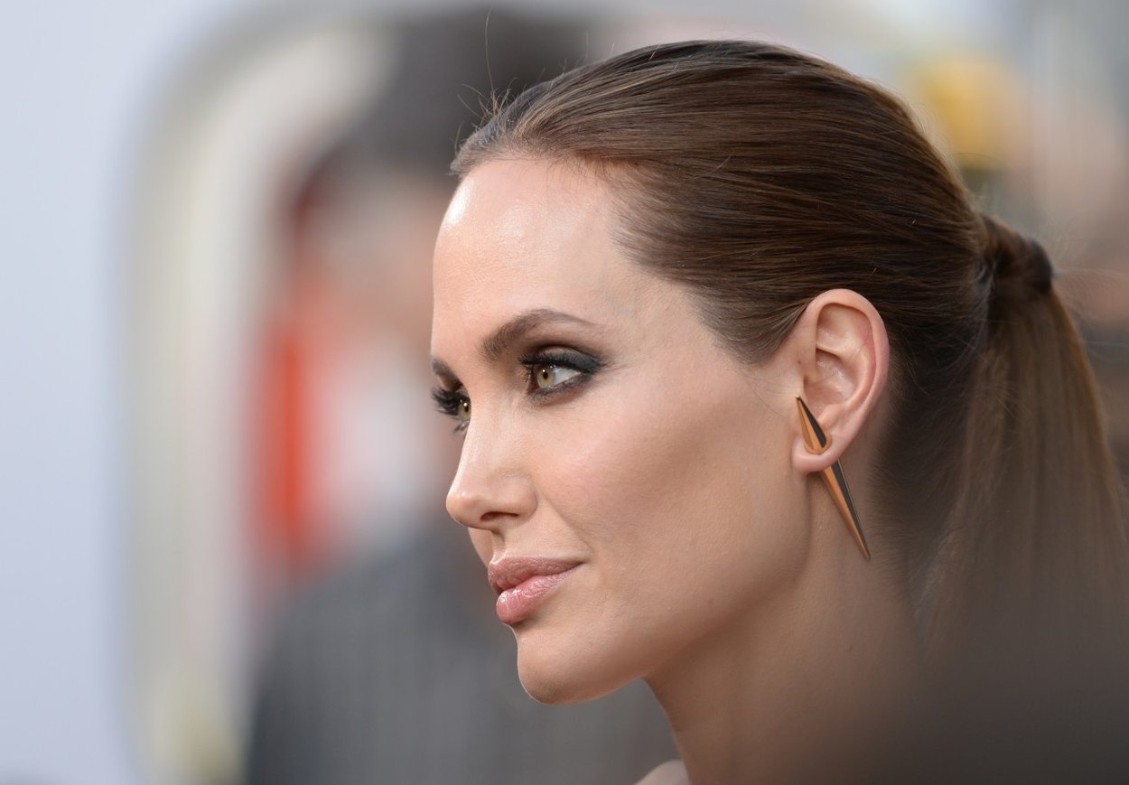 Angelina Jolie Flesh Tunnel Angelina Jolie Flesh Tunnel