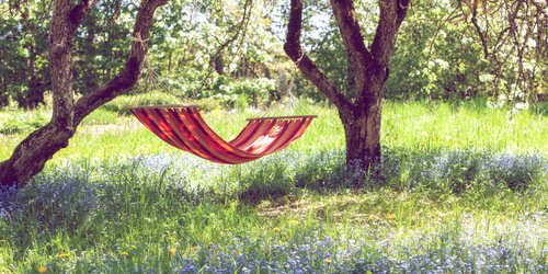 Hitze-Comeback schon diese Woche: Hier gibt es bald über 30 Grad