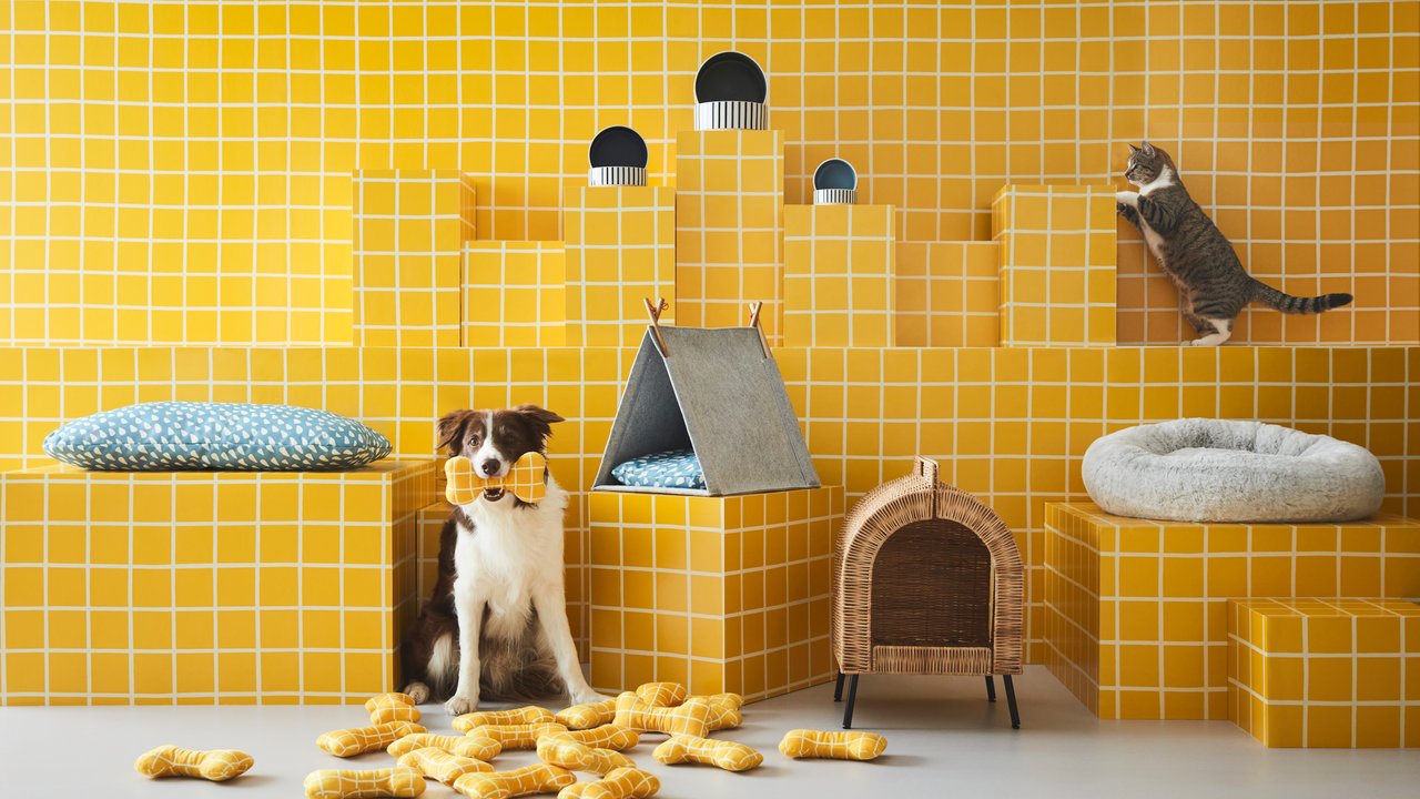 So sieht die erste Kollektion von Ikea für Haustiere aus.