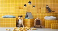 Nur für Fellnasen: Ikea bringt die erste Kollektion für Haustiere heraus
