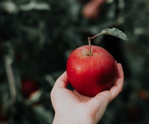 Apfel und seine Kalorien: Welche Nährstoffe stecken drin?