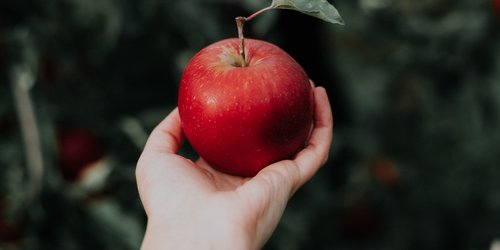 Apfel und seine Kalorien: Welche Nährstoffe stecken drin?