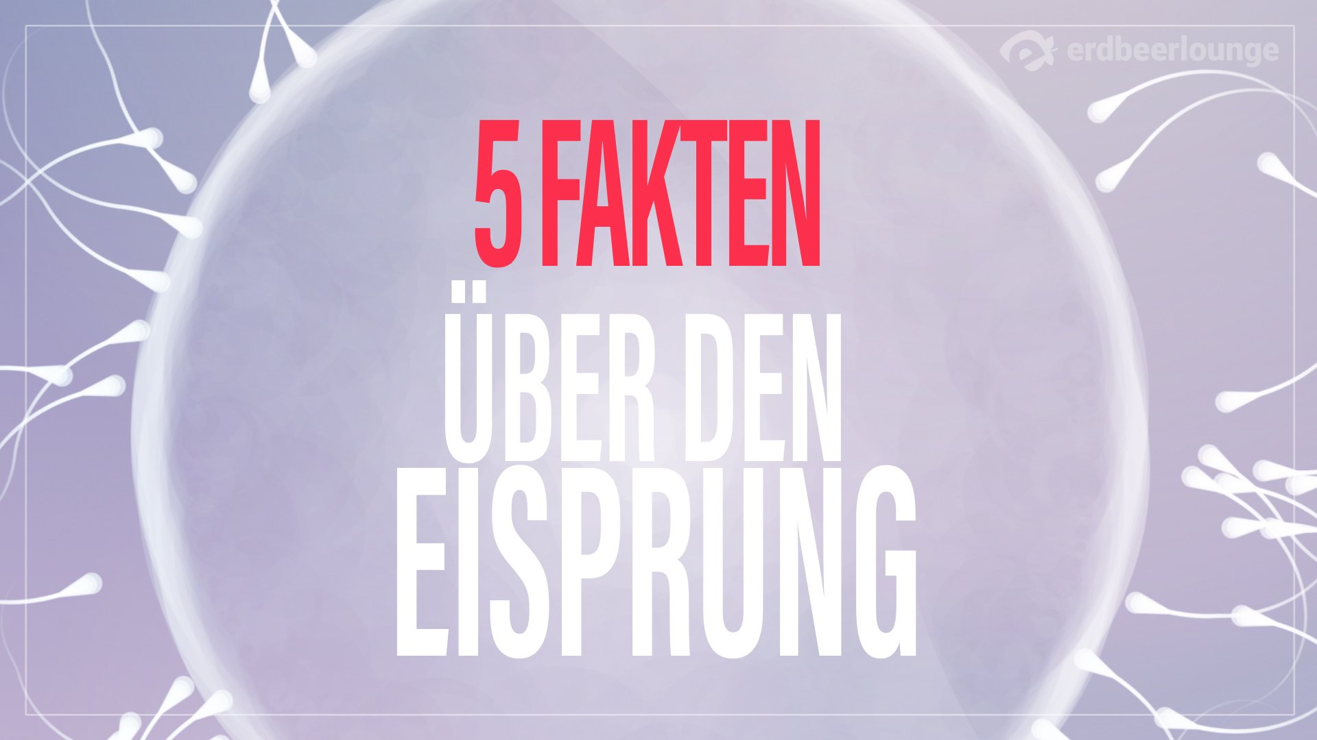 Der Eisprung Alle Wichtigen Infos Desired De
