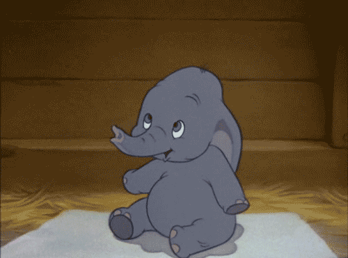 Dumbo niest