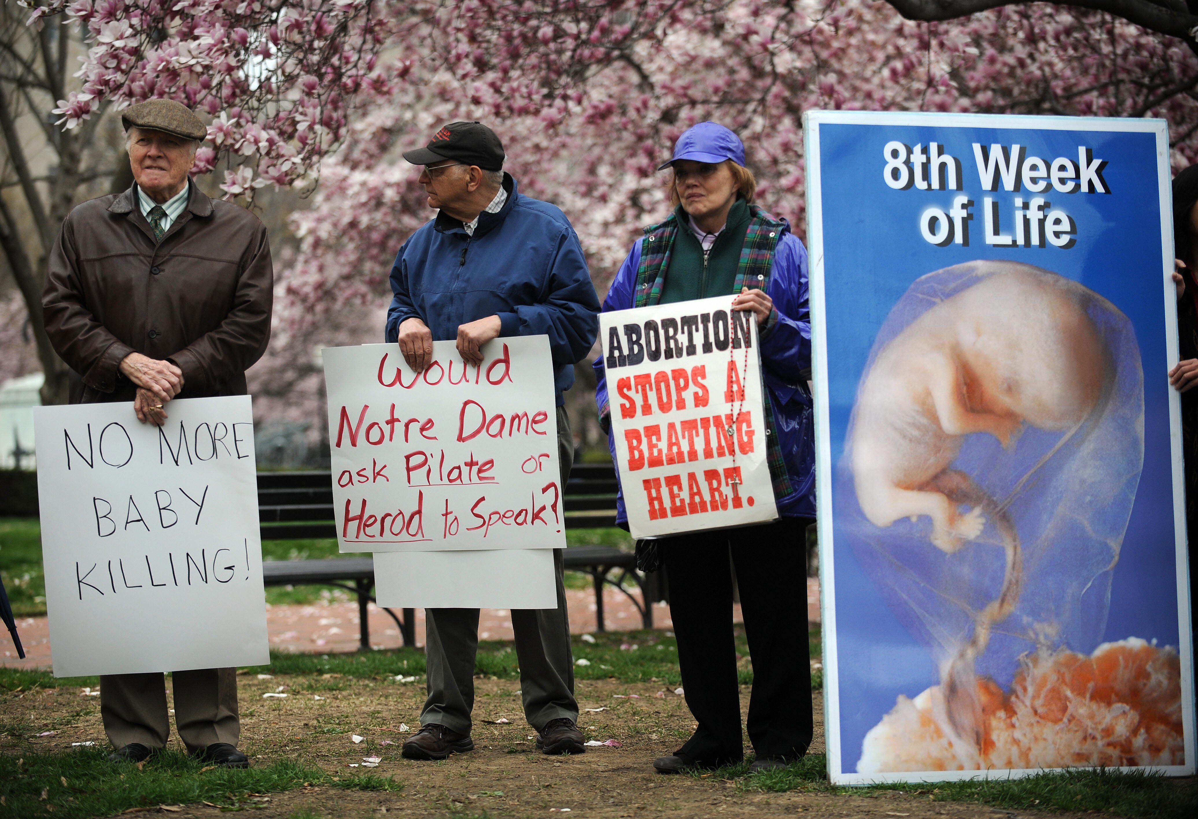 Abtreibungsgegner wollen mit drastischen Bildern schocken und Frauen von Abtreibungen abhalten.
