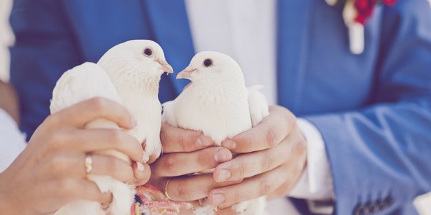 Hochzeitstauben: Warum du auf diesen Brauch verzichten solltest & schöne Alternativen