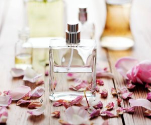 Starke Weiblichkeit: Schnappe dir diesen orientalischen Sandelholz-Duft von Rossmann mit Lilie und Pfingstrose