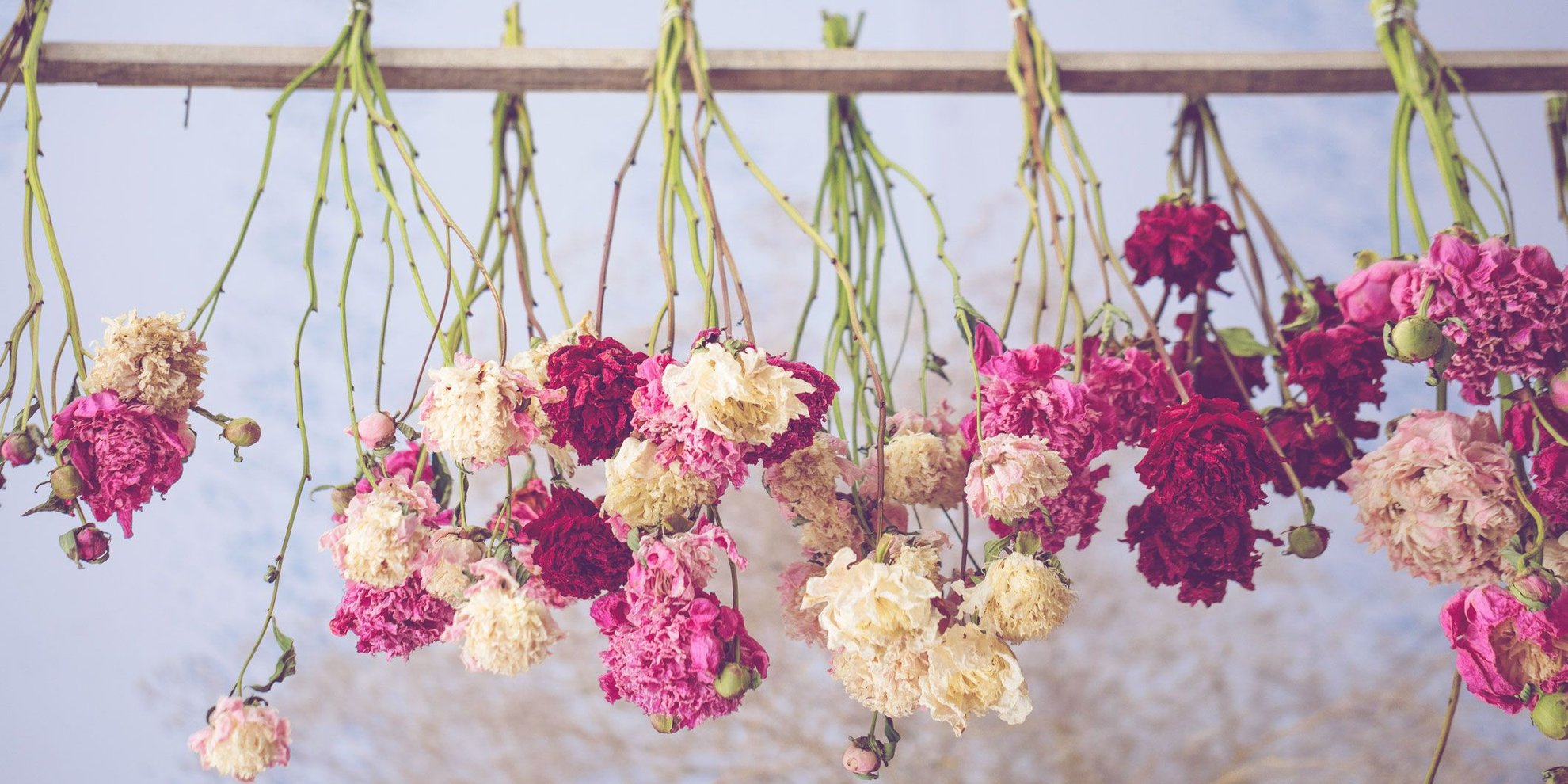 Trockenblumen selber machen: Mit diesem Trick hält dein Blumenstrauß ewig!