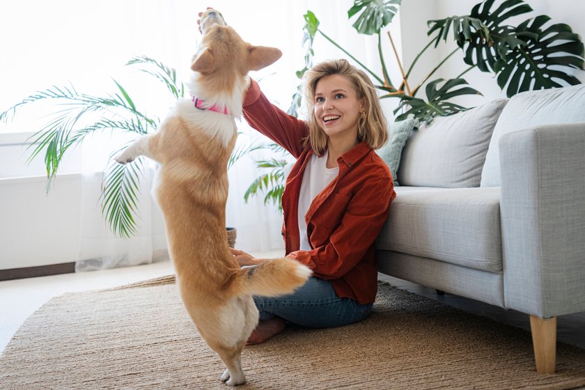 Eine Frau spielt mit einem Hund und Ball.