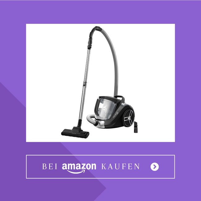 Rowenta RO4825 Compact Power XXL Staubsauger