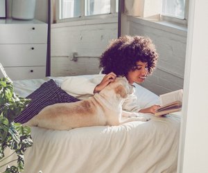 Zeitreise zwischen zwei Buchdeckeln: Mit diesen 7 Romanen tauchst du in die Vergangenheit ein