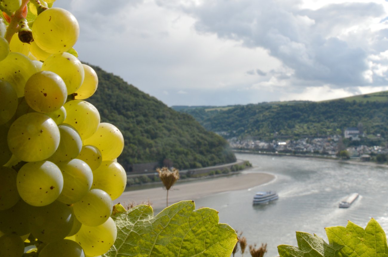 Wein Wein