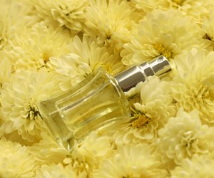 Dieser herbstliche Vanille-Duft von Rossmann gilt als Geheimtipp für den Herbst