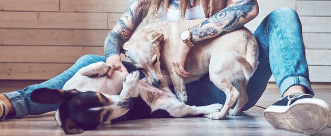 19 Tattoos, die die Liebe zu deinem Haustier zeigen