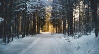 „Winter Dreams“-Reihe von Ayla Dade: Die richtige Reihenfolge