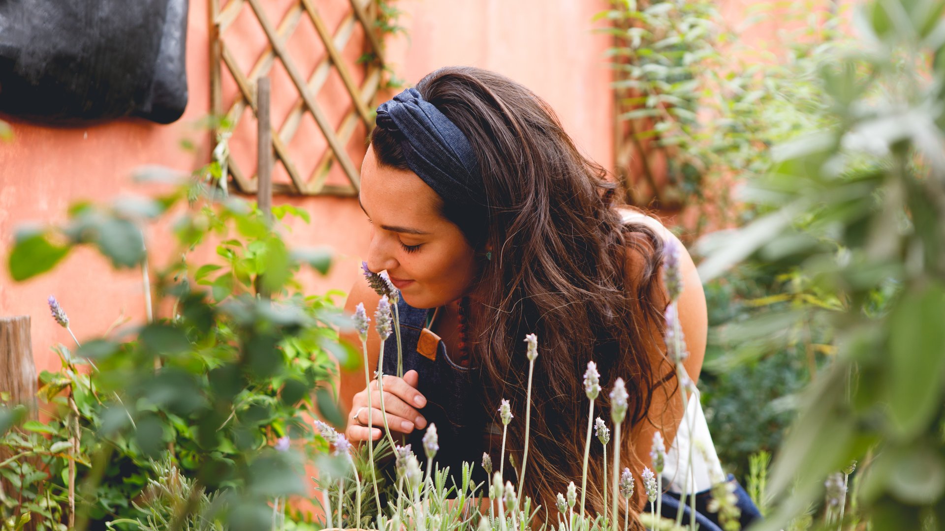 garten-glow-garantiert-diese-pflanze-ist-die-l-sung