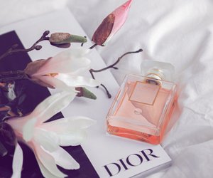 Diese 4 Parfums riechen den ganzen Tag über intensiv