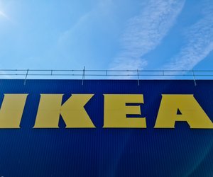 Schütze deine Möbel: Diesen Katzteppich von Ikea brauchen alle Katzenbesitzer