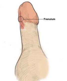 gleitgel sensitiv Kitzler finden und stimulieren: So kommen Frauen zum Orgasmus main image 0
