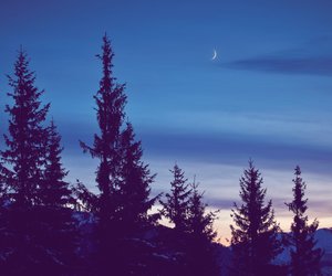 Neumond im Skorpion am 20. November: Eine tiefe Transformation wartet auf dich