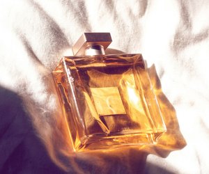 Kein normales Parfum: 4 Düfte haben ein ganz besonderes Detail gemeinsam