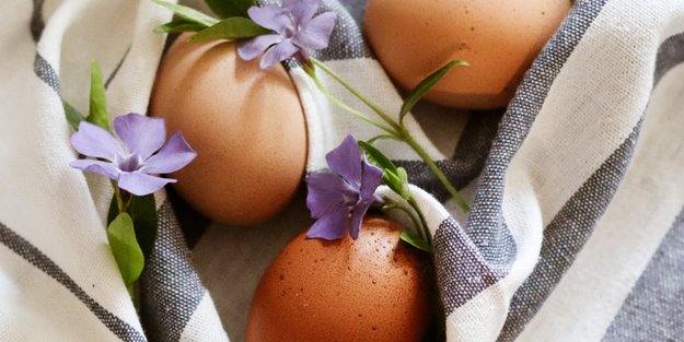 Eier kochen: Wie viele Minuten braucht das perfekte Frühstücks-Ei?