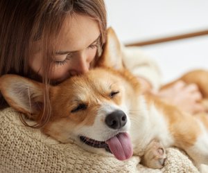 4 süße Hunde-Gadgets für deinen Vierbeiner, mit denen er rundum glücklich ist