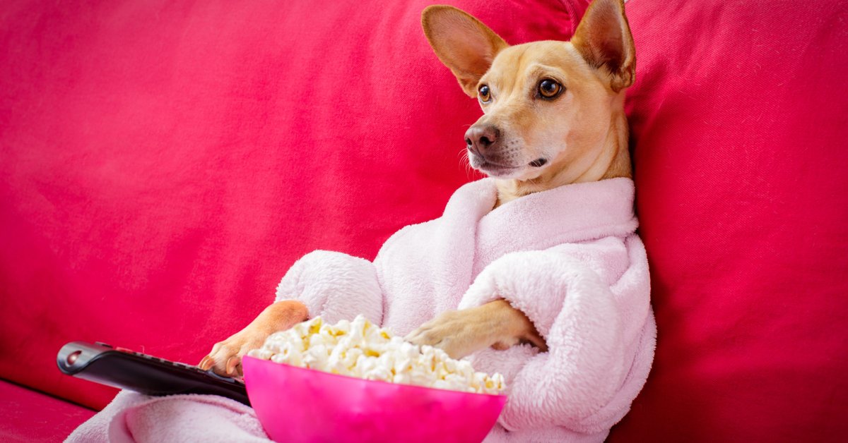 Filmtitel Liste Filmtitel Liste