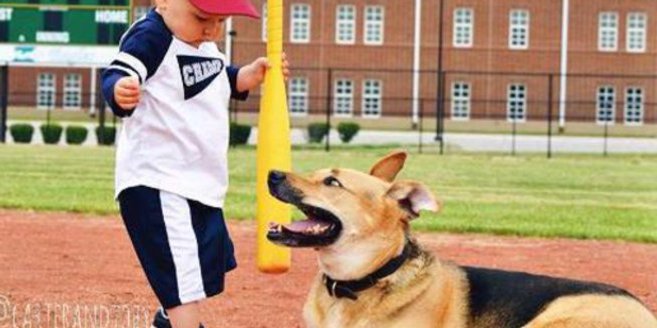 Carter und sein süßer Hund Toby erleben viele interessante Alltagssituationen. Carter und sein süßer Hund Toby erleben viele interessante Alltagssituationen.
