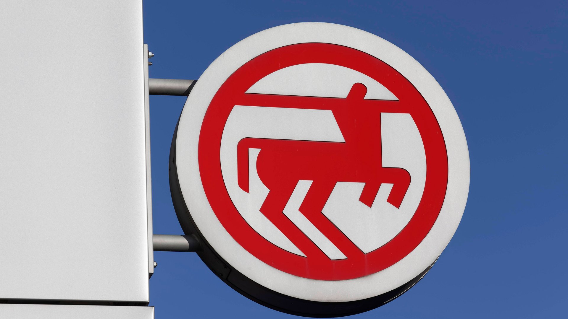 Diese-LED-Glaskugel-von-Rossmann-ist-sch-ner-als-jeder-Weihnachtsstern-und-kostet-nur-5-Euro-