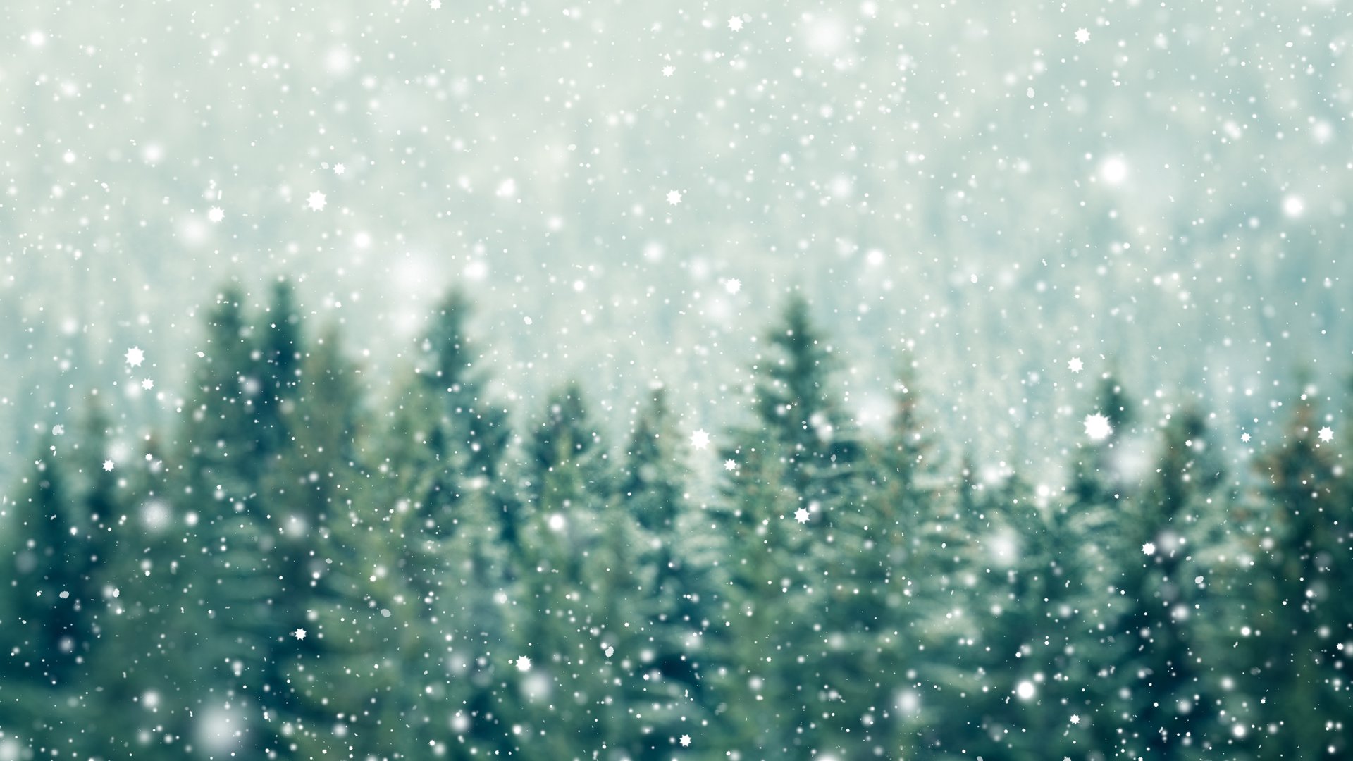 Sanfte-Grau-und-Gr-nt-ne-4-Bonprix-Teppiche-die-die-Magie-eines-Winterwaldes-ins-Wohnzimmer