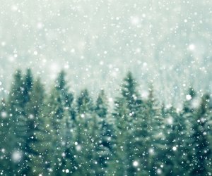 Sanfte Grau- und Grüntöne: 4 Bonprix-Teppiche, die die Magie eines Winterwaldes ins Wohnzimmer